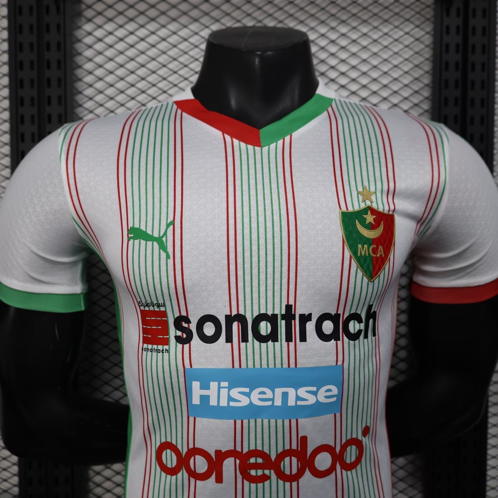 Palestine 25-26 Player Version