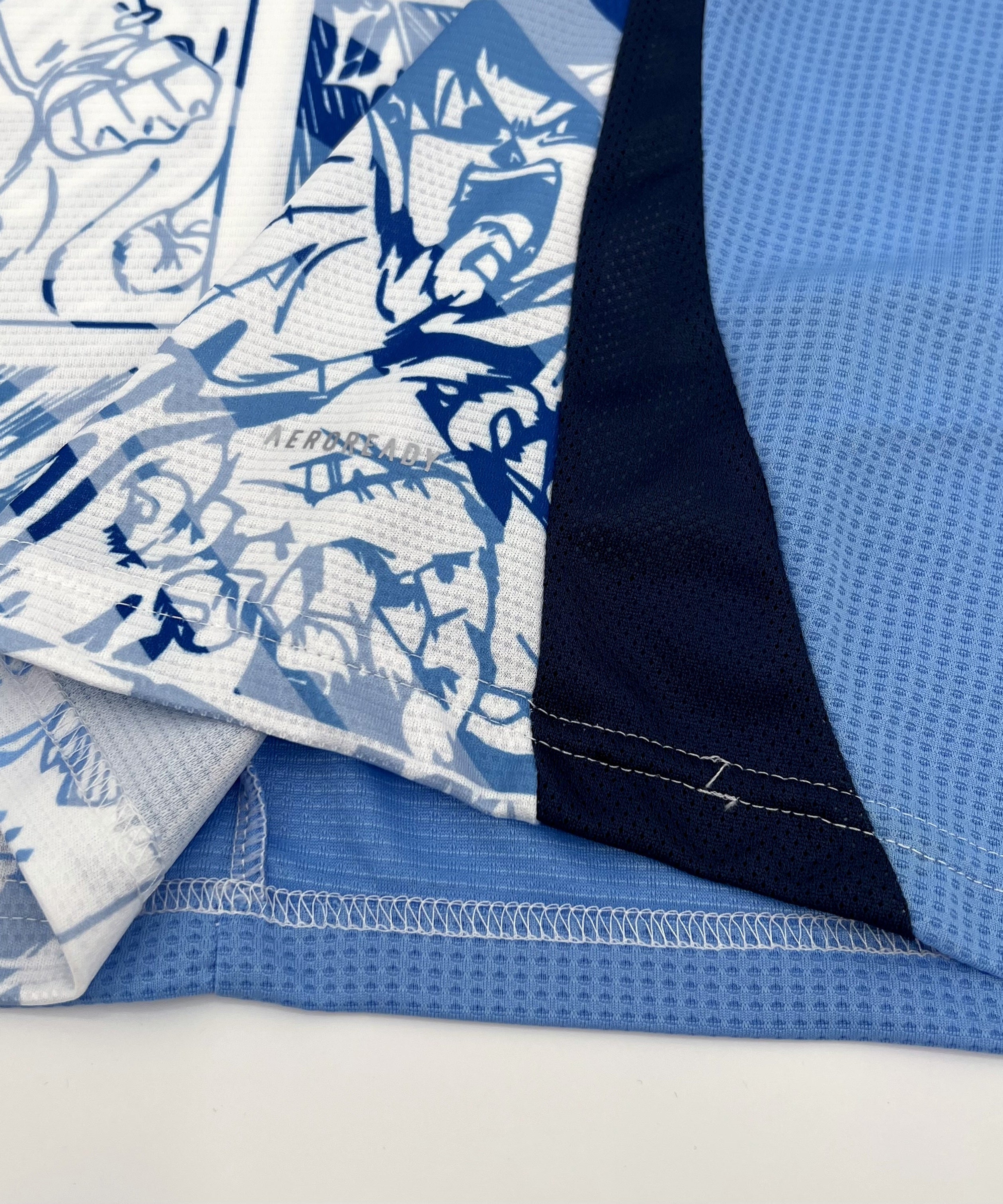 Japan "BLUE VEGETA" Special Kit