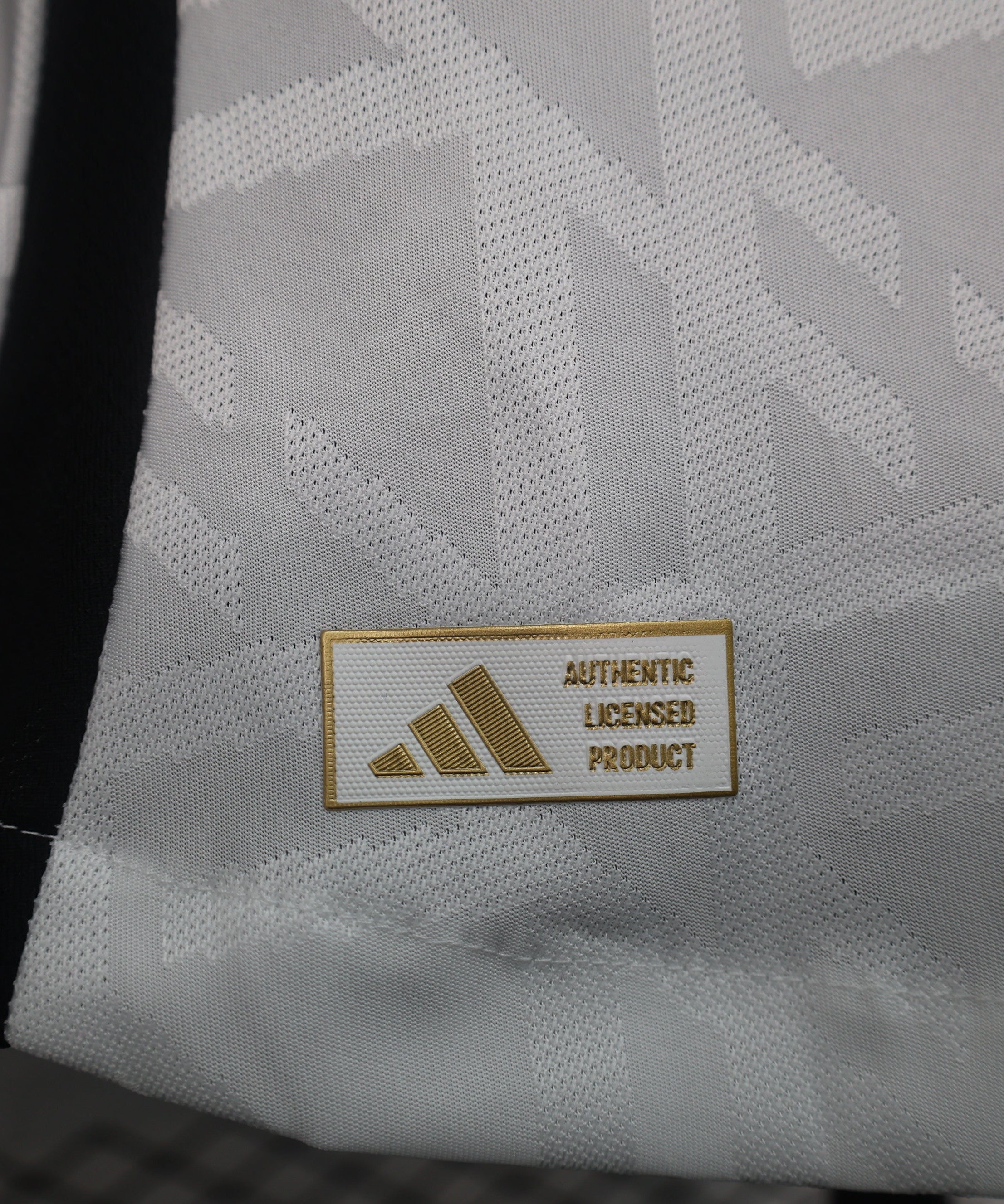 Germany 2024-2025 Home Kit