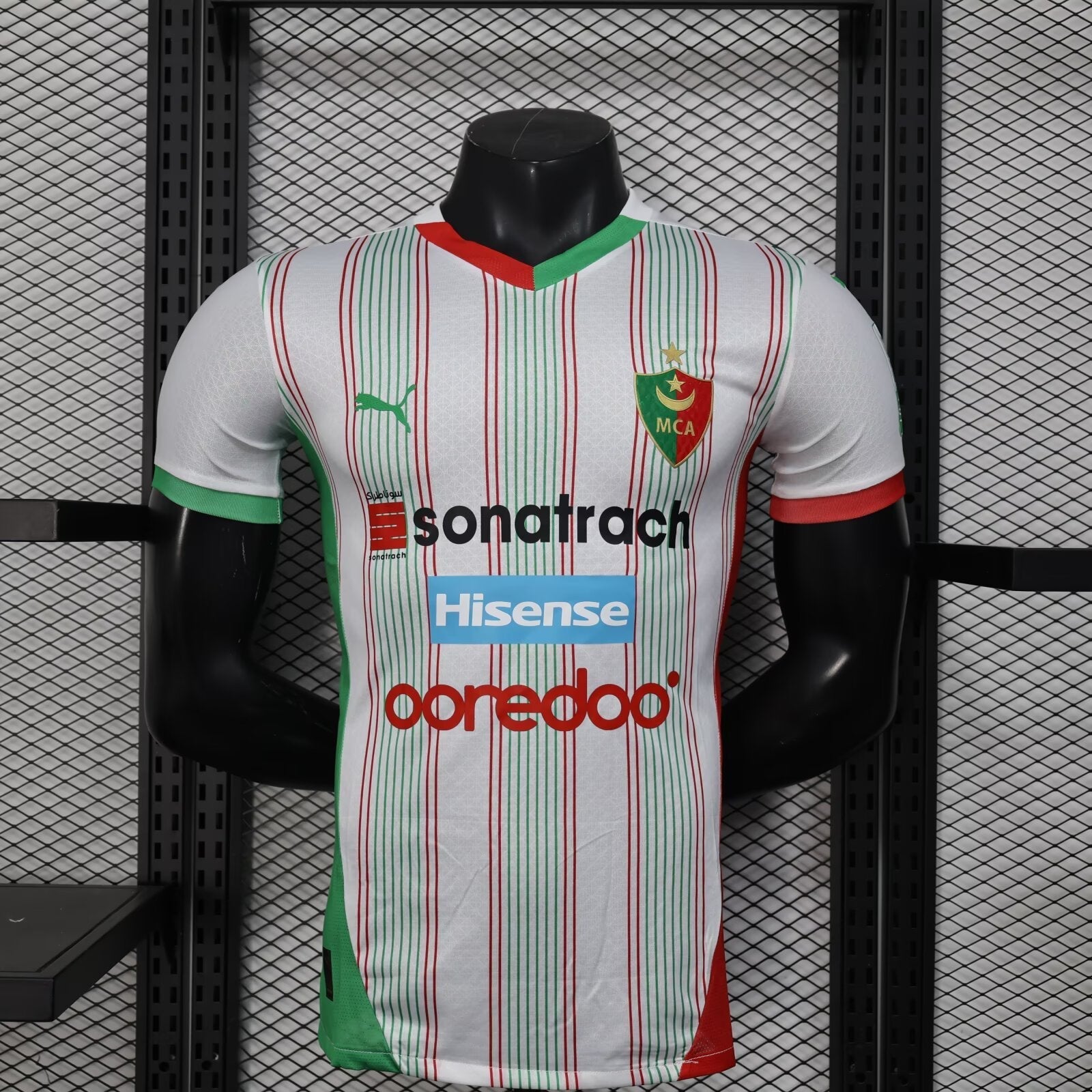 Palestine 25-26 Player Version